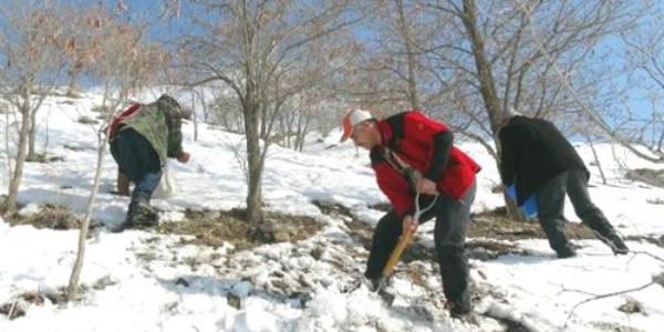 Avcılar, kanatlı hayvanlara sahip çıktı