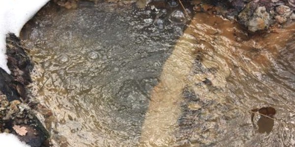 Ormanlık alanda şifalı su