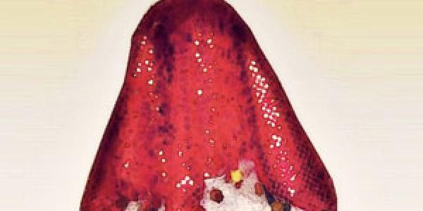 İki eşli babaların berdel hazırlığı jandarmaya takıldı