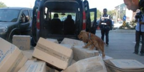 Kırıkkale'de 10 bin paket gümrük kaçağı sigara ele geçirildi