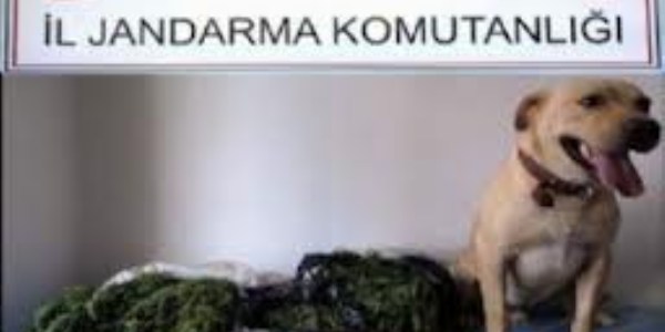 Denizli'de uyuşturucu operasyonu