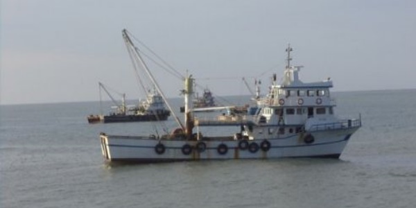 Bodrum'da kaçak operasyonu