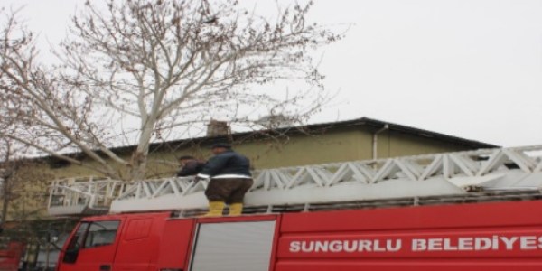 Çorum'da karga kurtarma operasyonu