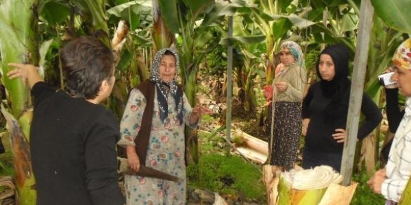 72 yaşındaki 'Muz Ana' usta öğretici oldu