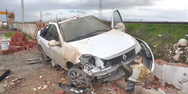 �n�ne k�pek ��kan ara� �arampole yuvarland�