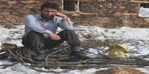 Bitlis'te 1 ay iinde 105 hayvan telef oldu
