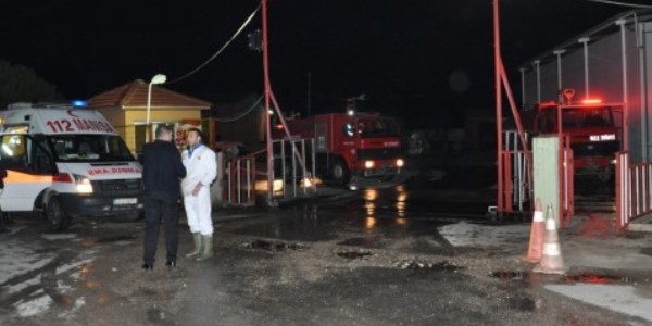 Tavuk kesimhanesinde ��kan yang�n korkuttu