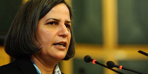 BDP: Bayrak bu ülkenin ortak değeridir