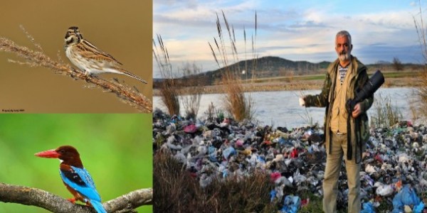 Kuş cenneti 'çöp cenneti' oldu!