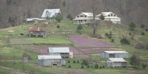 Sakarya'nın yaylaları doğallıklarını kaybediyor