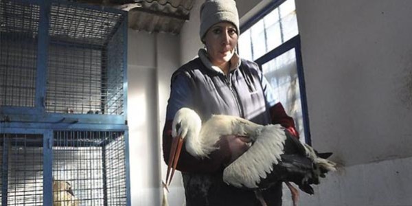 Avcılara göz açtırmıyorlar