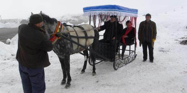 Erciyes Dağı'nda atlı kızak turu