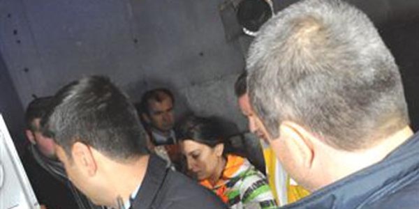 Bursa'da pitbull dehşeti