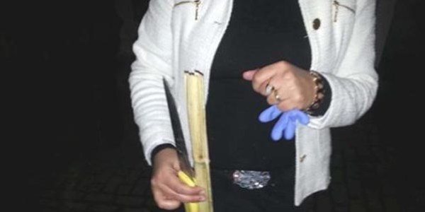 Aydın'da polise saldırı
