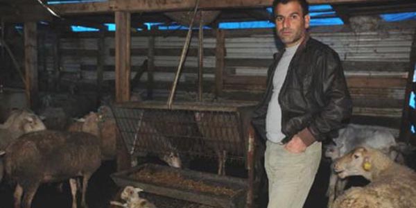Polis koyun �alan h�rs�zlar� ar�yor