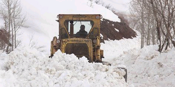 Bitlis ve Mu�'ta 17 k�y yolu ula��ma kapal� bulunuyor