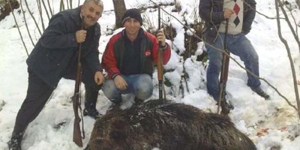 Ordu'da yaban domuzu için sürek avı