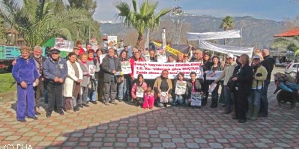 Mu�la'da hayvanseverlerden protesto