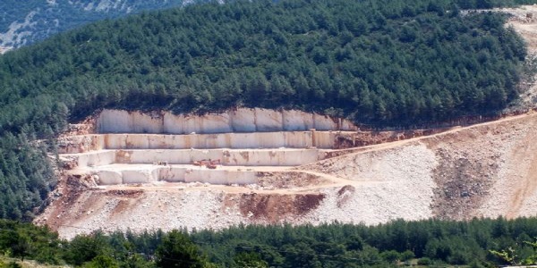 Taş ocakları asırlık sedir ağaçlarını yok ediyor