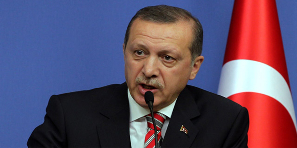 Erdoğan. Anayasa için millete gideriz/ Video