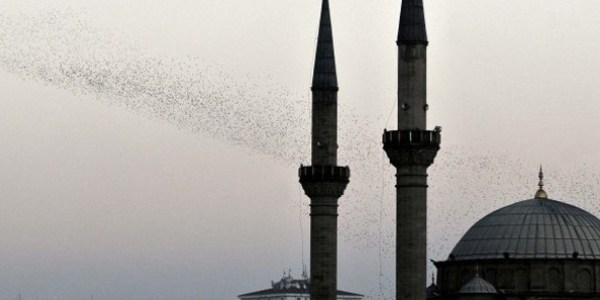 Mahallenin kad�nlar� bu kez cami i�in topland�