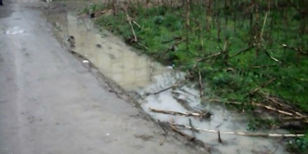 Bir ka��k suda �l� bulundu