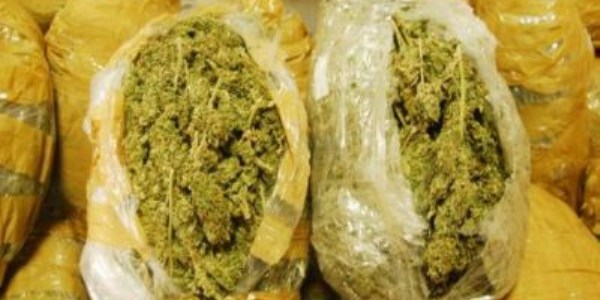 Sivas'ta 160 kilo esrar ele ge�irildi