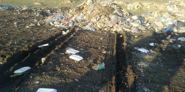 Ni�de'de 50 k�pe�in zehirlenerek �ld�r�ld��� iddias�