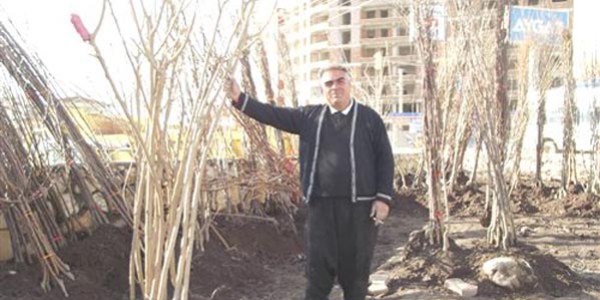 A�a� fidan� ge�im kayna��