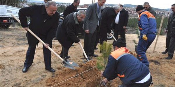 Kastamonu Belediyesi ağaçlandırma sezonunu açtı