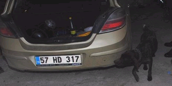 Sinop Jandarmasından silah kaçakçılarına darbe