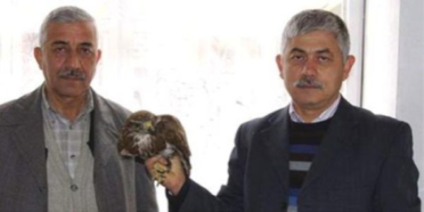 Yaralı şahine avcılar sahip çıktı