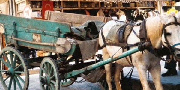 Tekirdağ'da at arabalı hırsızlık