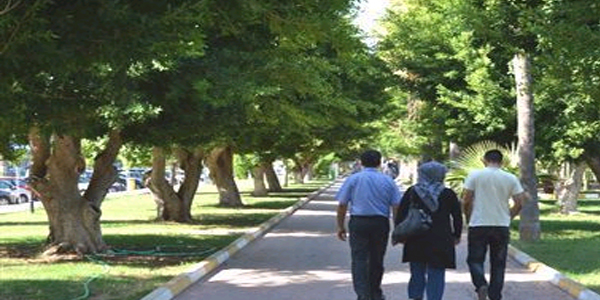 D�zce'de g�ne�li hava
