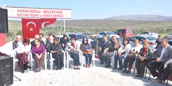 Sokak hayvanlarına modern barınak