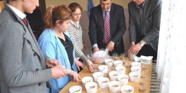 I�d�r'da Nevruz �ncesi haz�rl�klar ba�lad�