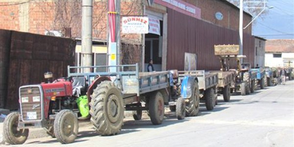 Ödemiş'te saman kuyruğu