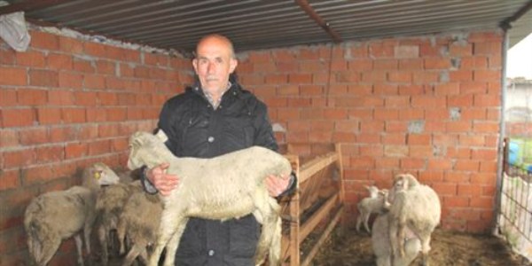 4 bin kilometre �teden g�� edip bu k�ye yerle�tiler