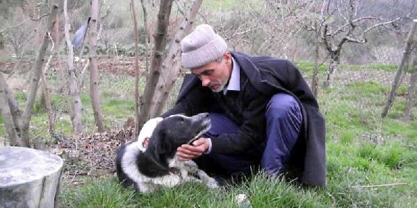 Önce köpekler sonra sahipleri dövüştü:2 yaralı