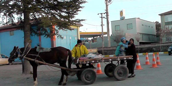 Ambulans yerine at arabas�yla ta��d�