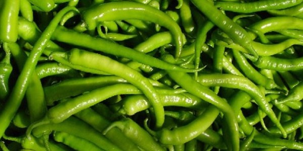 �ubat ay�n�n zam �ampiyonu sivri biber