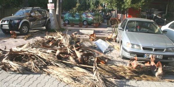 Rüzgar, hayatı felç etti