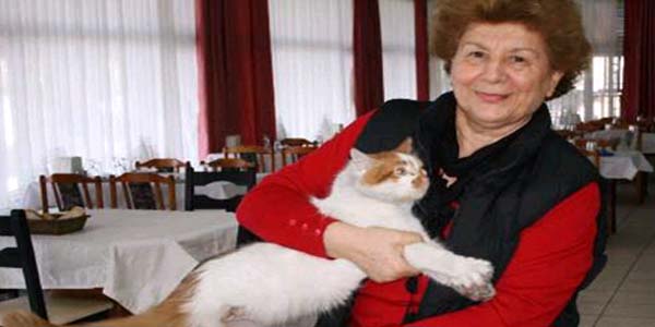 T�rkali'de �� ayakl� kedi