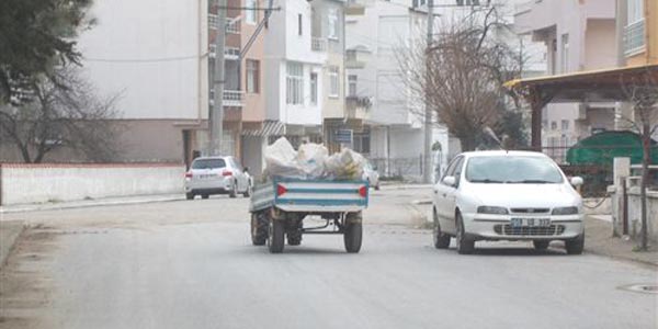 P�rp�rlar trafik kazalar�na neden oluyor
