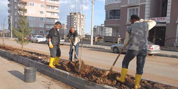 3. çevre yolunda peyzaj çalışması