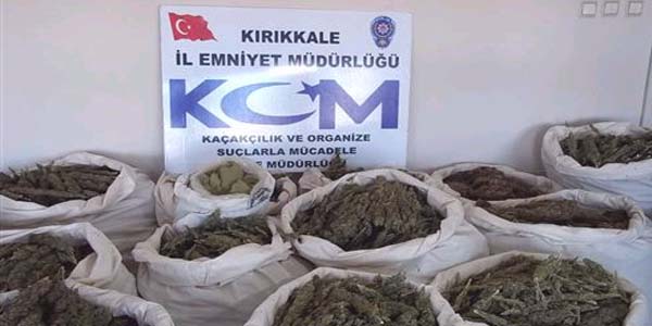 Kırıkkale'de 3 ayda 1 ton esrar ele geçirildi