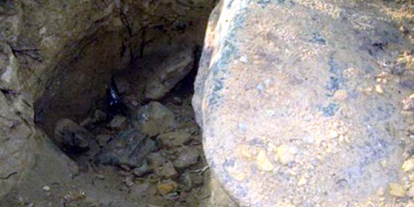 Kocaeli'de kaçak define arama iddiası