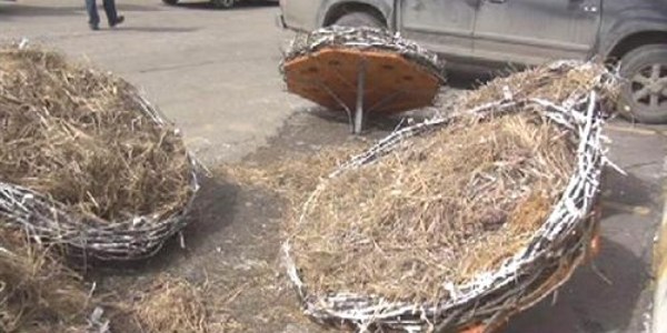 Köylülerden en özel dostlarına yuva