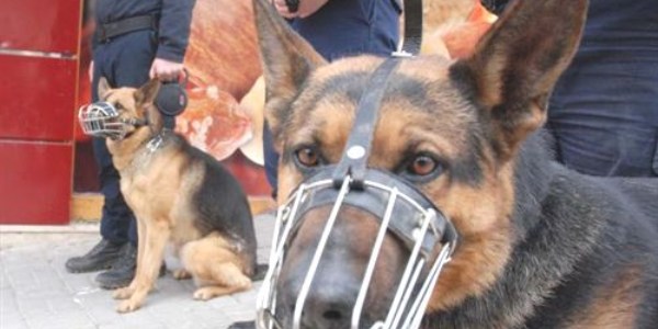 'Babi' ve 'Biber'in g�revi toplumsal olaylar