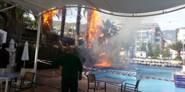 Alanya'da otel bahçesinde ağaç yangını
